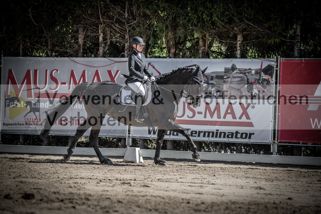 DSC_0216 | equestrian-live-com