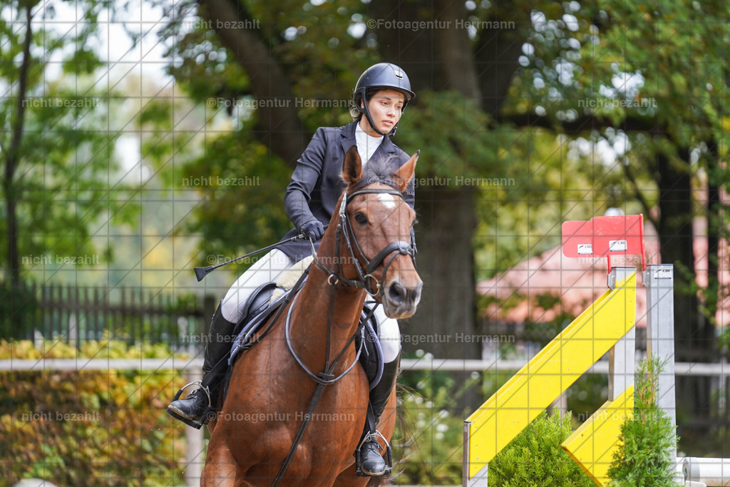 20221009-FAH08882 | Diessen am Ammersee, 2022, Dressur- und Springturnier, Reitsportbilder, Turnierfotografen Bayern, Pferdefotografen, Fotoagentur Herrmann, Turnierbilder
