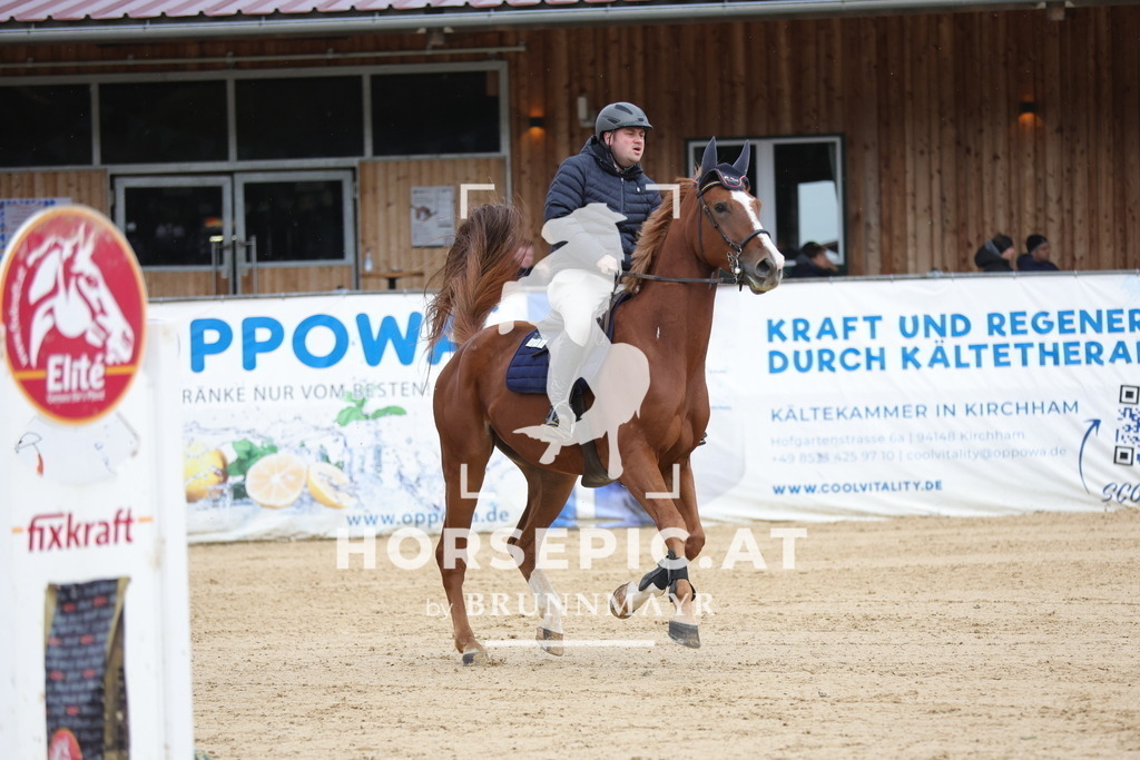 0P6A9188 | Willkommen bei Brunnmayr - Design & Fotografie – Ihrem Spezialisten für Reitturniere und Pferdeveranstaltungen in Oberösterreich, Salzburg und Bayern! Seit über 17 Jahren sind wir leidenschaftlich dabei.