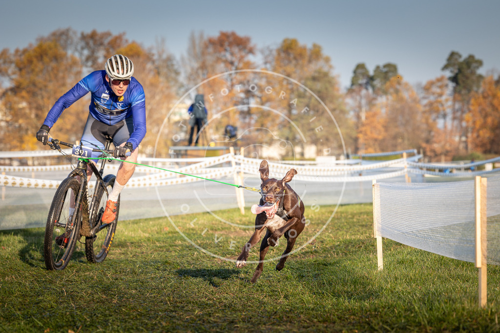 CaniXpix_0L8A3852 | Hundefotografie, Tierfotograf, Pfotenfotografie, Fotoshooting Hund, Hunde Portrait, Hundesport, Hundeportraits, Heideshooting, Hunde, Sportfotograf, Hundefotograf, Turnierhundsport, THS,  - Realisiert mit Pictrs.com