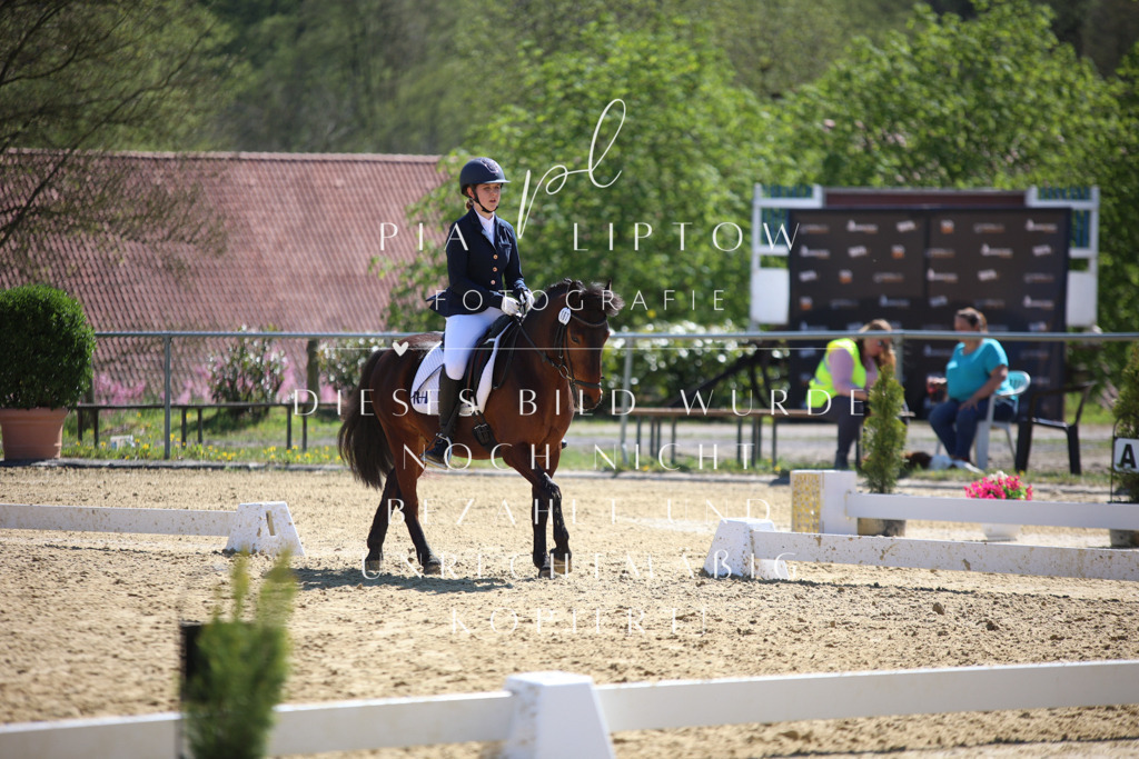 IMGT7668 | pl-fotografie