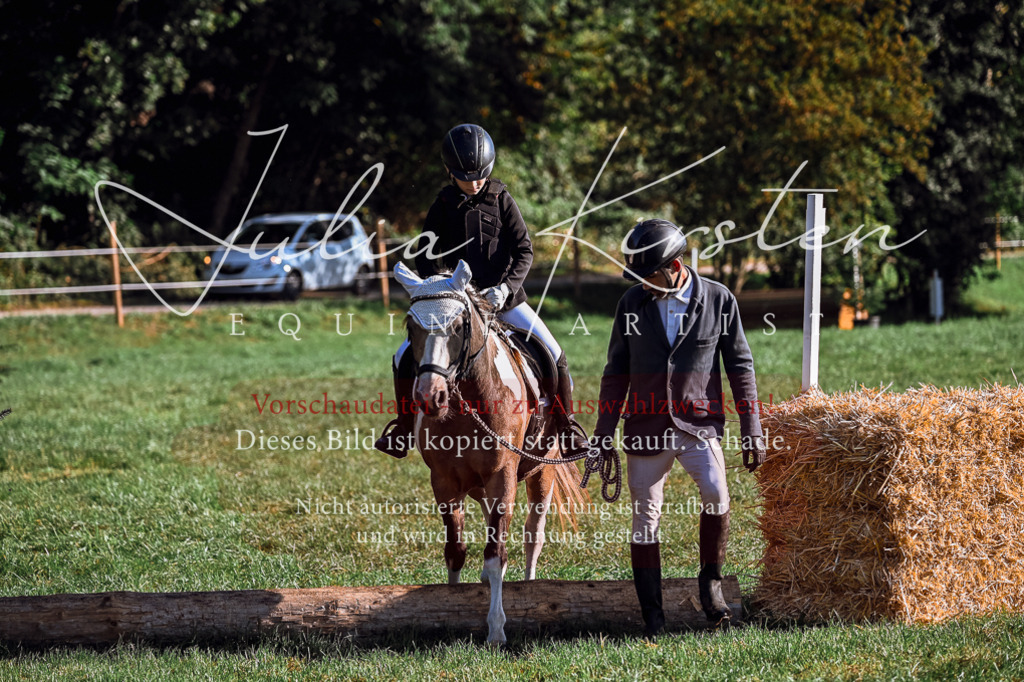 DSC_0305 | Pferde- und Turnierfotografie in Westsachsen. Pferdeportraits, Auftragszeichnungen und intuitive Kunst.