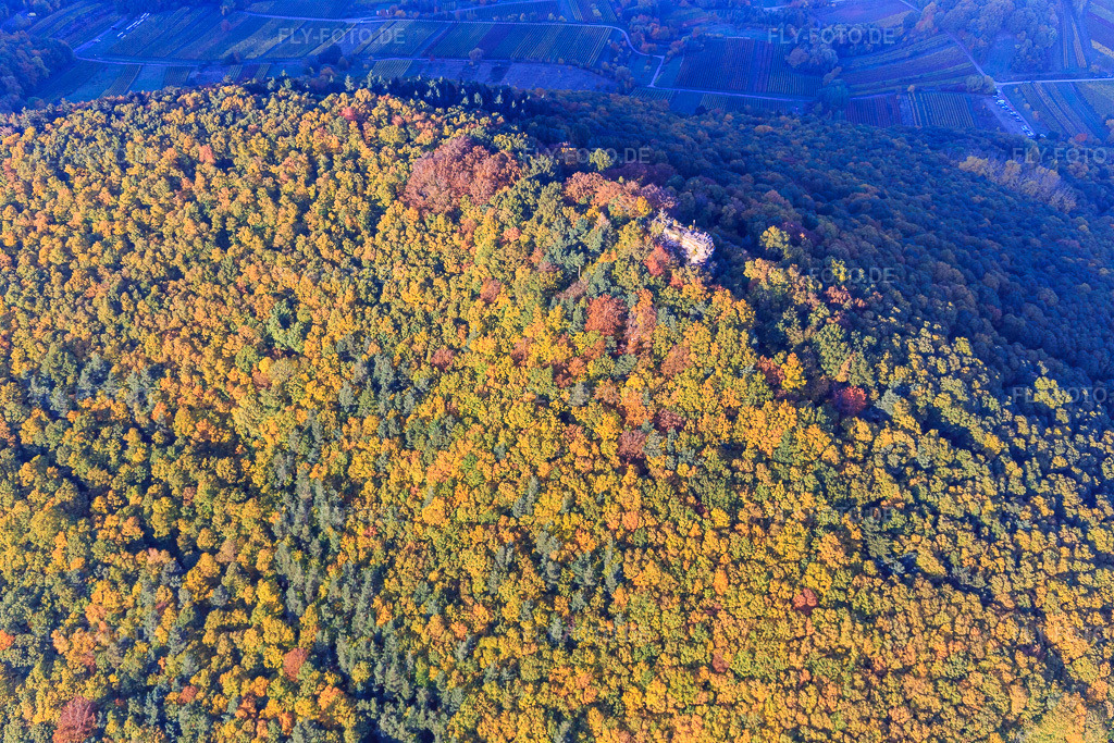 Luftbild: Burgruine Neukastel zwischen Herbstlaub in Leinsweiler im Bundesland Rheinland-Pfalz in Deutschland. Foto: IMG_095722.jpg vom 30.10.2016 durch Werner Riehm/FLY-FOTO.deBurg Neukastel - Infos, Bilder und mehr - Burgenarchiv.de