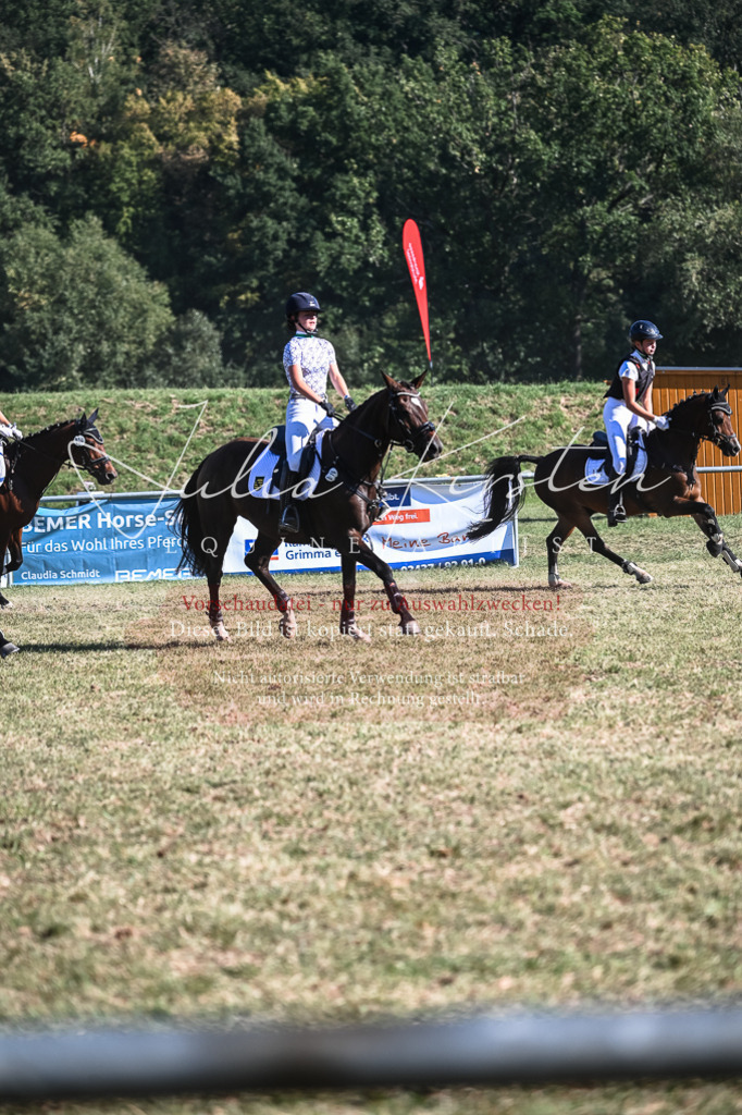 DSC_7150 | Pferde- und Turnierfotografie in Westsachsen. Pferdeportraits, Auftragszeichnungen und intuitive Kunst.