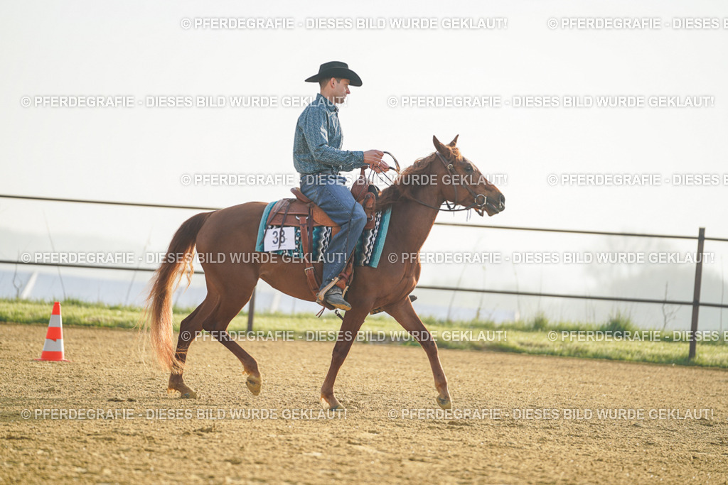 DSC09704 | Pferdegrafie