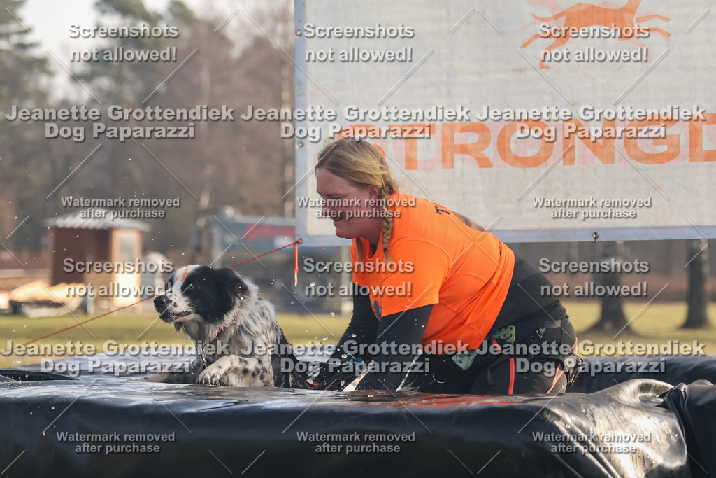 Dog Paparazzi - SD North 0326 900930-293 | Dog Paparazzi Jeanette Grottendiek Fotografie & Videografie - Realisiert mit Pictrs.com