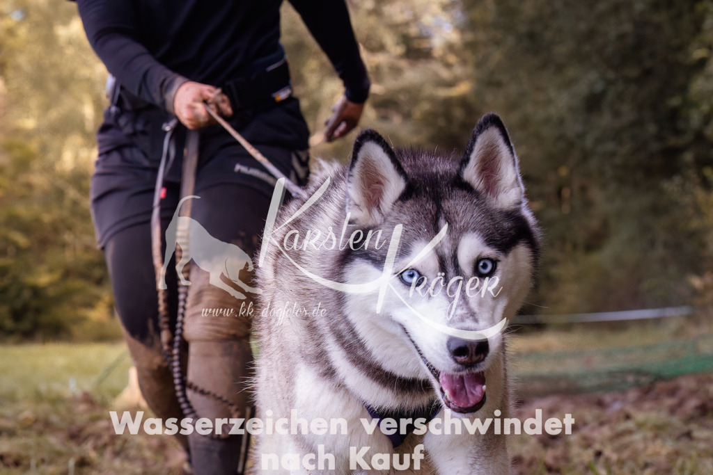1236_ZZ90462 | kk-dogfotos