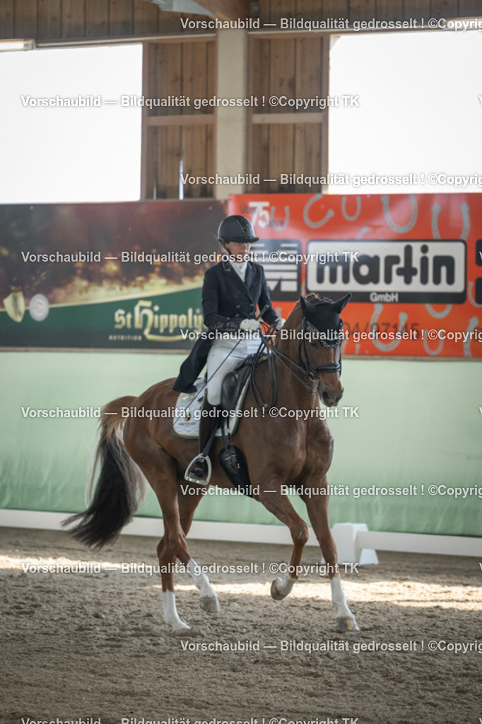 _D5A0069 | Emotionale Pferde- & People-Fotografie rund um Heidelberg, Leimen & Umgebung. Natürliche Fotos von Pferd, Mensch & Familie. Jetzt Termin sichern!