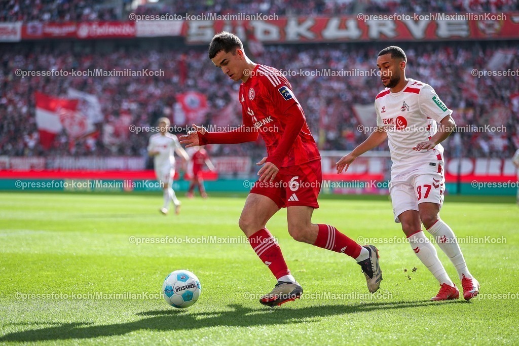 1FC23022502117 | 23.02.2025, Fußball, 1. FC Köln - Fortuna Düsseldorf, 2.. Fußball Bundesliga, 23. Spieltag, RheinEnergie-STADION, Saison 2024 2025: Giovanni Haag (Fortuna Düsseldorf #6) im Zweikampf gegen Linton Maina (FC Köln #37)DFB regulations prohibit any use of photographs as image sequences and or quasi-video.