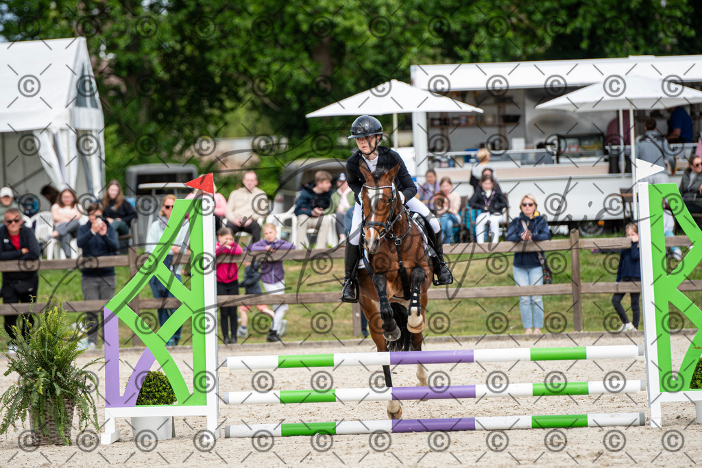 KPT_5963 | andre_photographic