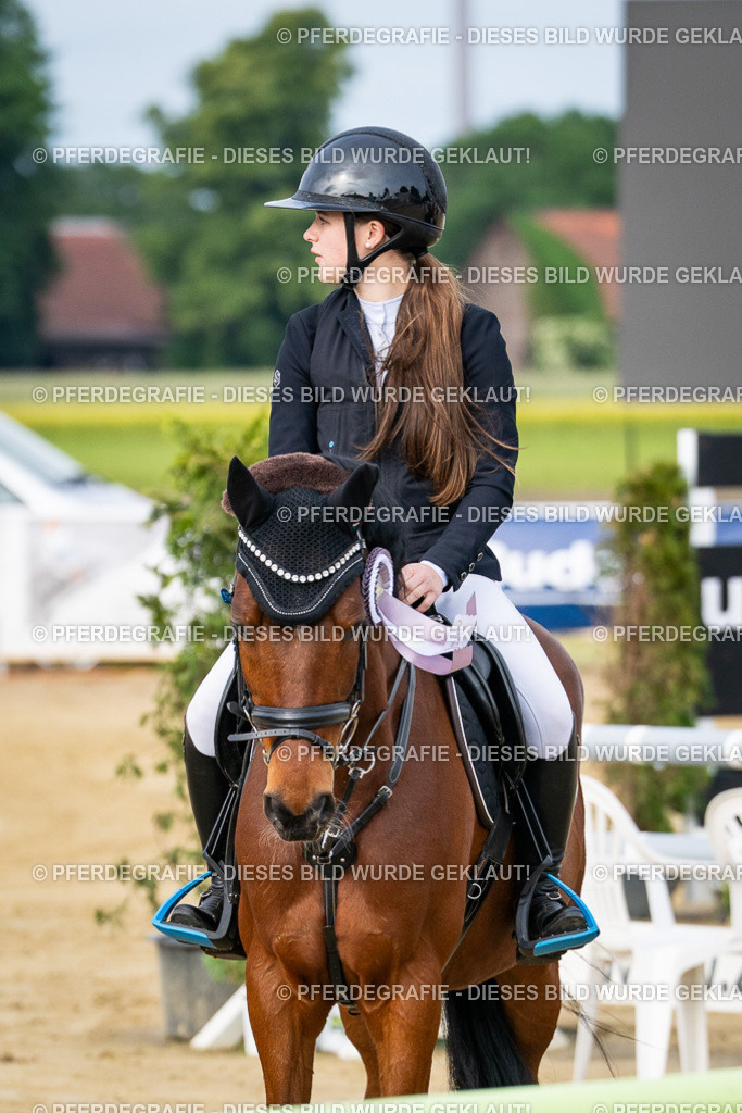 DSC03168 | Pferdegrafie