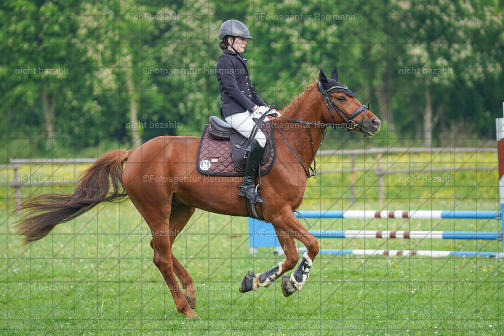 20240509-FAH02185 | Turnierbilder der Turnierfotografen Bayern, Pferdesport Fotografie, Reitsportbilder, Turnier Landberg am Lech, Turnierbilder bayern, Fotoagentur Herrmann