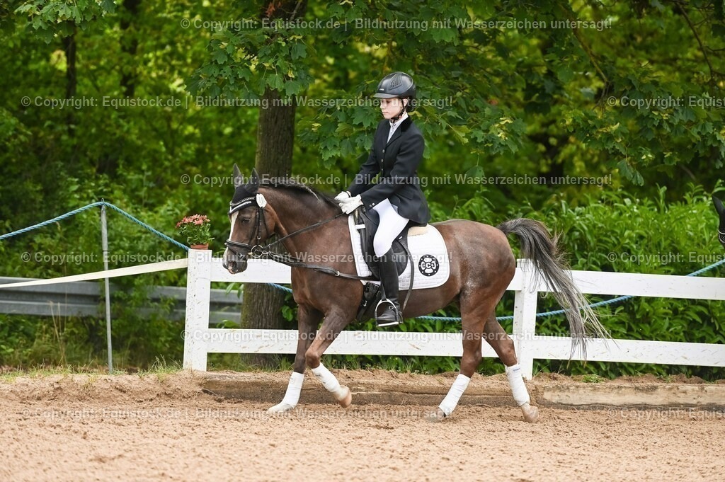 20230716_10-2_Reiter-WB Schritt - Trab - Galopp_0085 | equistock