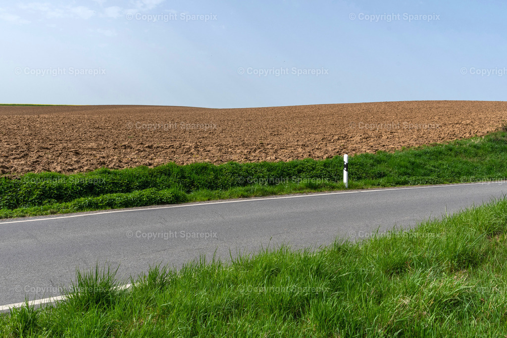 CAR_Agri_Spring_Field27 | Camera height 2,50m - light 10/50° - Realisiert mit Pictrs.com