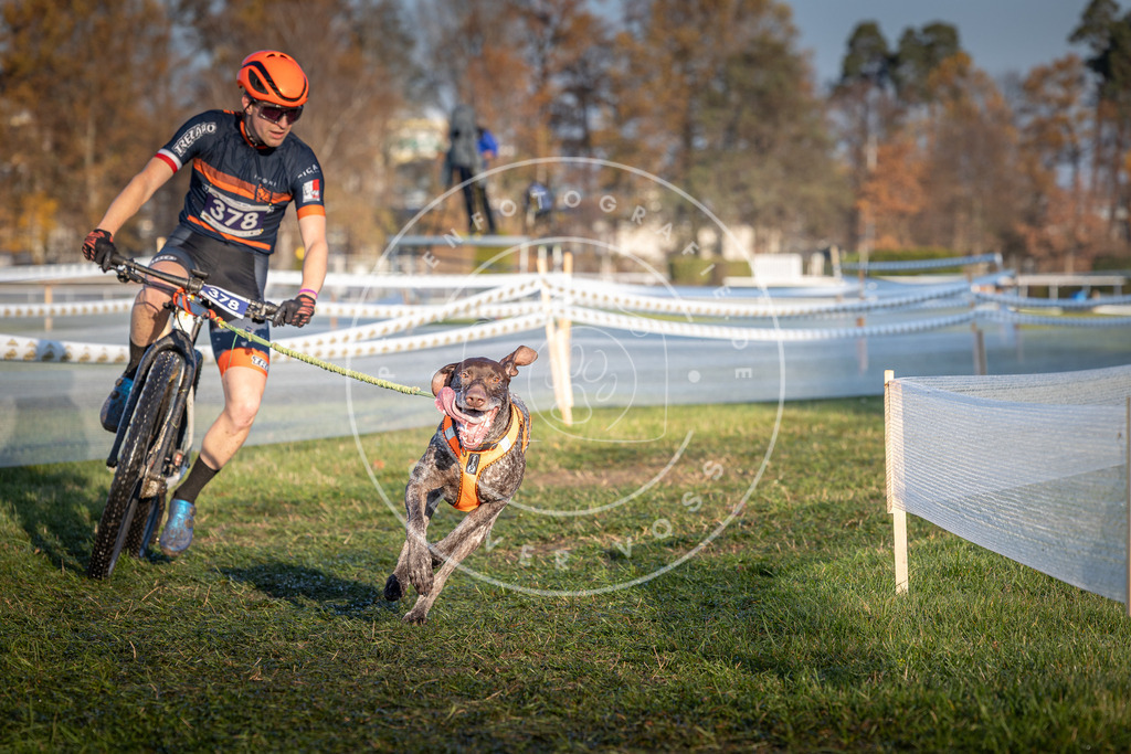 CaniXpix_0L8A3696 | Hundefotografie, Tierfotograf, Pfotenfotografie, Fotoshooting Hund, Hunde Portrait, Hundesport, Hundeportraits, Heideshooting, Hunde, Sportfotograf, Hundefotograf, Turnierhundsport, THS,  - Realisiert mit Pictrs.com