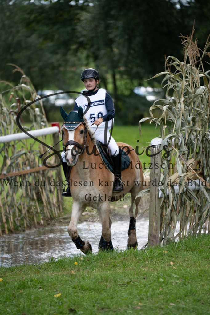 A7V03527 | Pferdefotograf