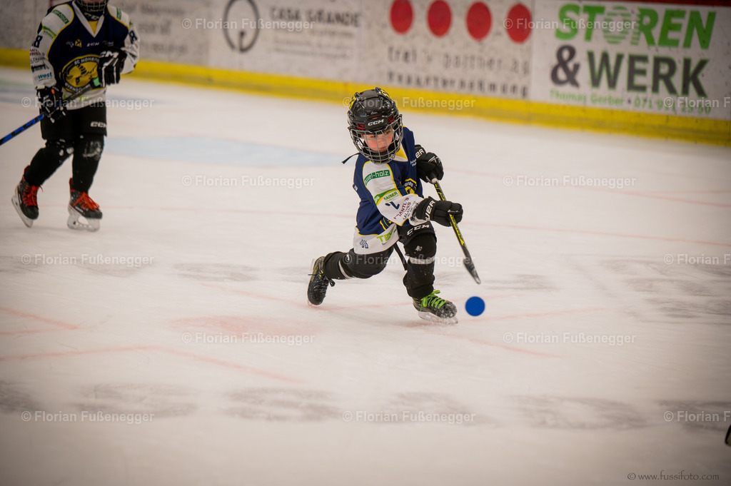 DSC_1294 | "Fussifoto.com – Ihr Ansprechpartner für hochwertige Fotografie! Entdecken Sie kreative Bilder und professionelle Dienstleistungen. Kontaktieren Sie uns für Ihre Projekte!"