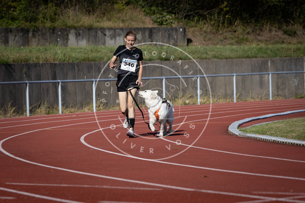 Pfotenfotografie_DV3A8826 | Hundefotografie, Tierfotograf, Pfotenfotografie, Fotoshooting Hund, Hunde Portrait, Hundesport, Hundeportraits, Heideshooting, Hunde, Sportfotograf, Hundefotograf, Turnierhundsport, THS,  - Realisiert mit Pictrs.com