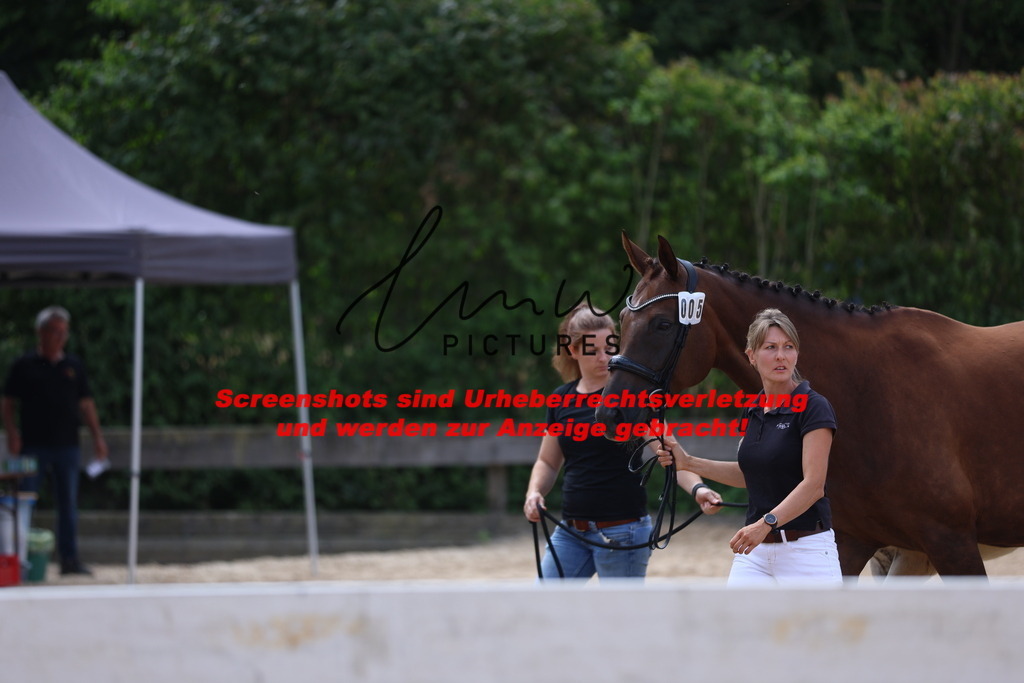 Fohlenschau_Schwäbisch_Hall_dressurbetonte_Fohlen_KN 5_1 | lmwpictures - Realisiert mit Pictrs.com