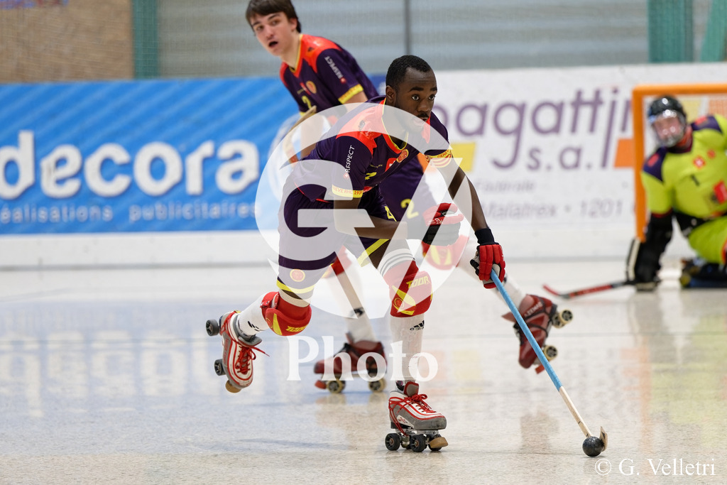 DSC_6031 | Velletri Photo