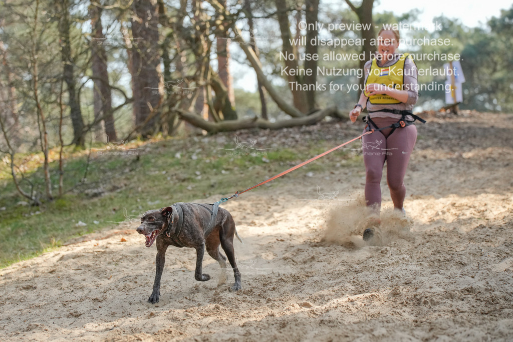 So_Fun-24 | stephaniefillaphotographie - Realisiert mit Pictrs.com