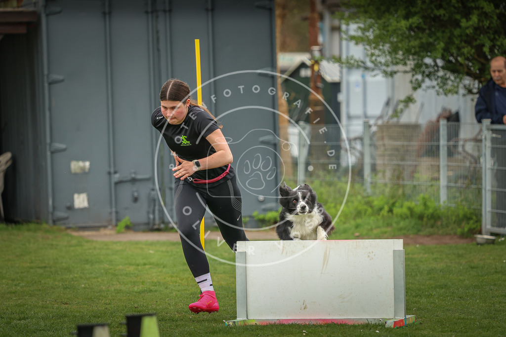 Pfotenfotografie_0L8A0805 | Hundefotografie, Tierfotograf, Pfotenfotografie, Fotoshooting Hund, Hunde Portrait, Hundesport, Hundeportraits, Heideshooting, Hunde, Sportfotograf, Hundefotograf, Turnierhundsport, THS,  - Realisiert mit Pictrs.com