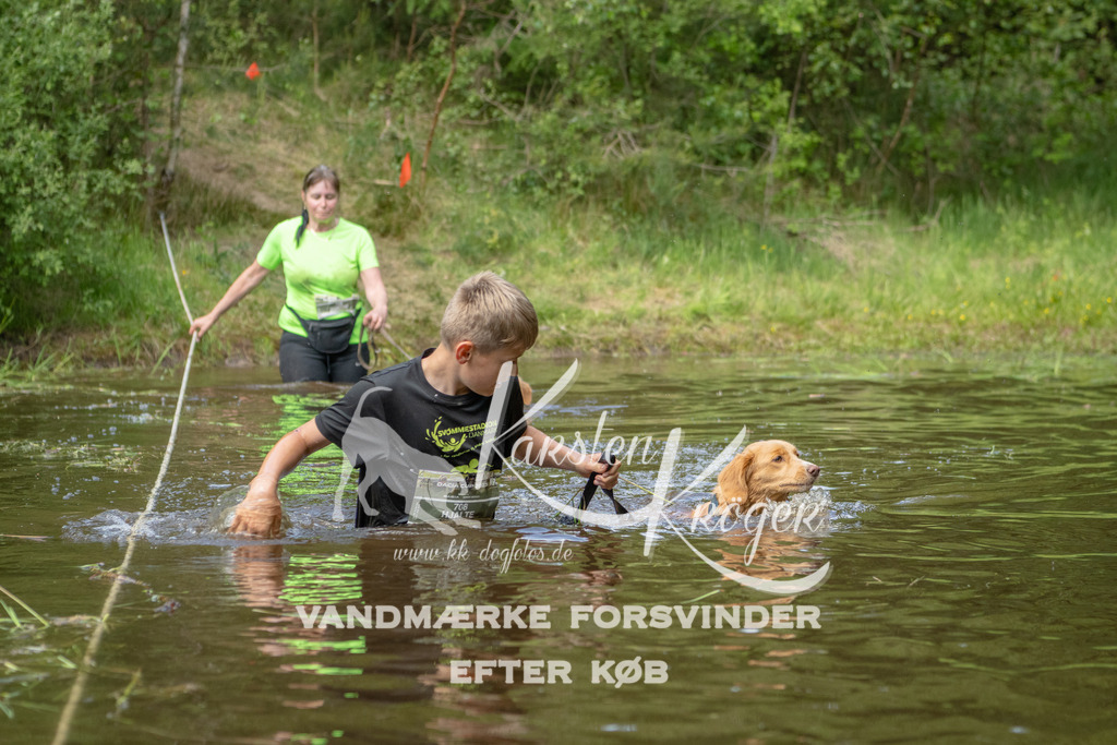 1244DKK993431 | kk-dogfotos