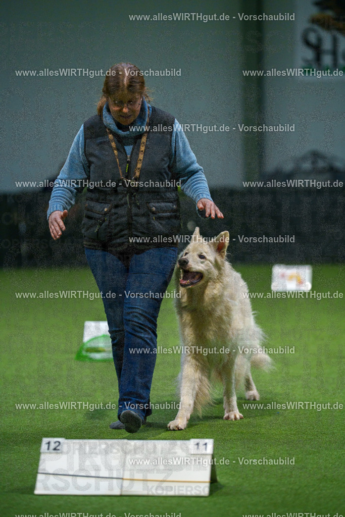7R500175 | Professionelle Tierfotografie in Mönchengladbach von Daniel Wirth (allesWIRTHgut). Liebevolle & natürliche Bilder von Hunden & Katzen für unvergessliche Erinnerungen.