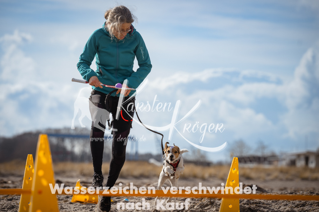 1311_ZZ90667 | kk-dogfotos