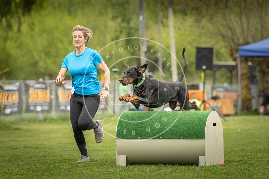 Pfotenfotografie_DV3A2990 | Hundefotografie, Tierfotograf, Pfotenfotografie, Fotoshooting Hund, Hunde Portrait, Hundesport, Hundeportraits, Heideshooting, Hunde, Sportfotograf, Hundefotograf, Turnierhundsport, THS,  - Realisiert mit Pictrs.com