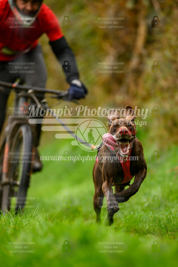 MompixPhotography_20TSB_E8_Bike-50 | PayLife