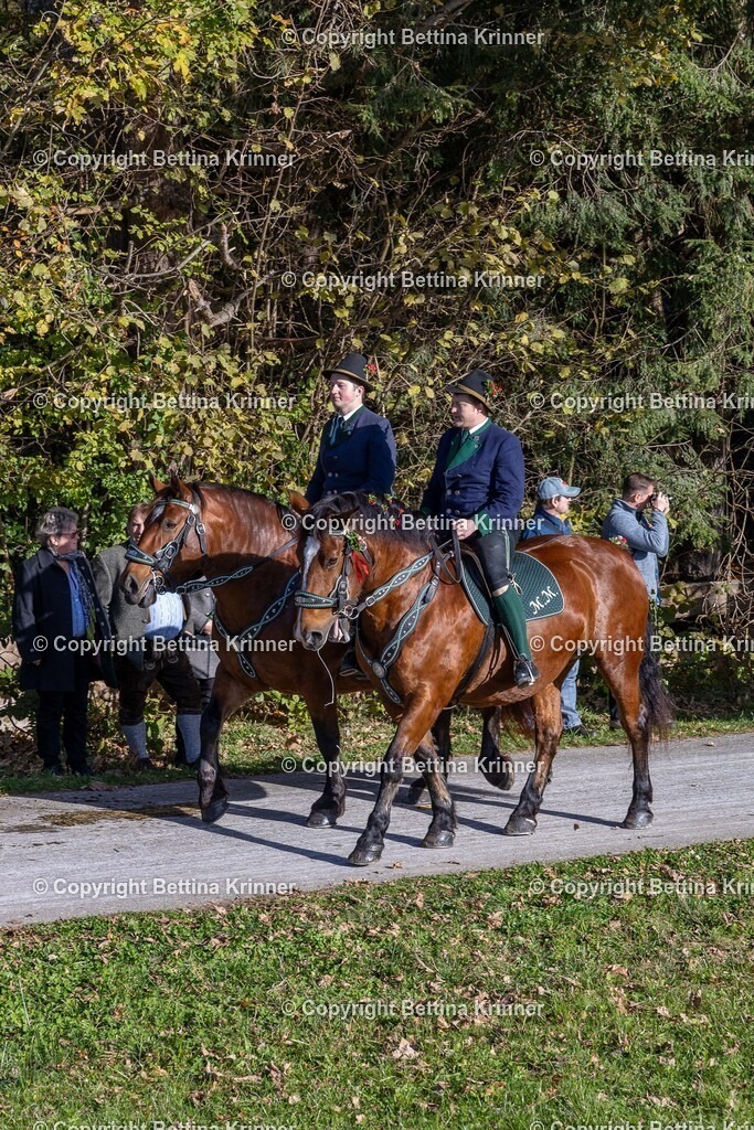 LBT24-789 | foto-bettina-krinner - Realisiert mit Pictrs.com
