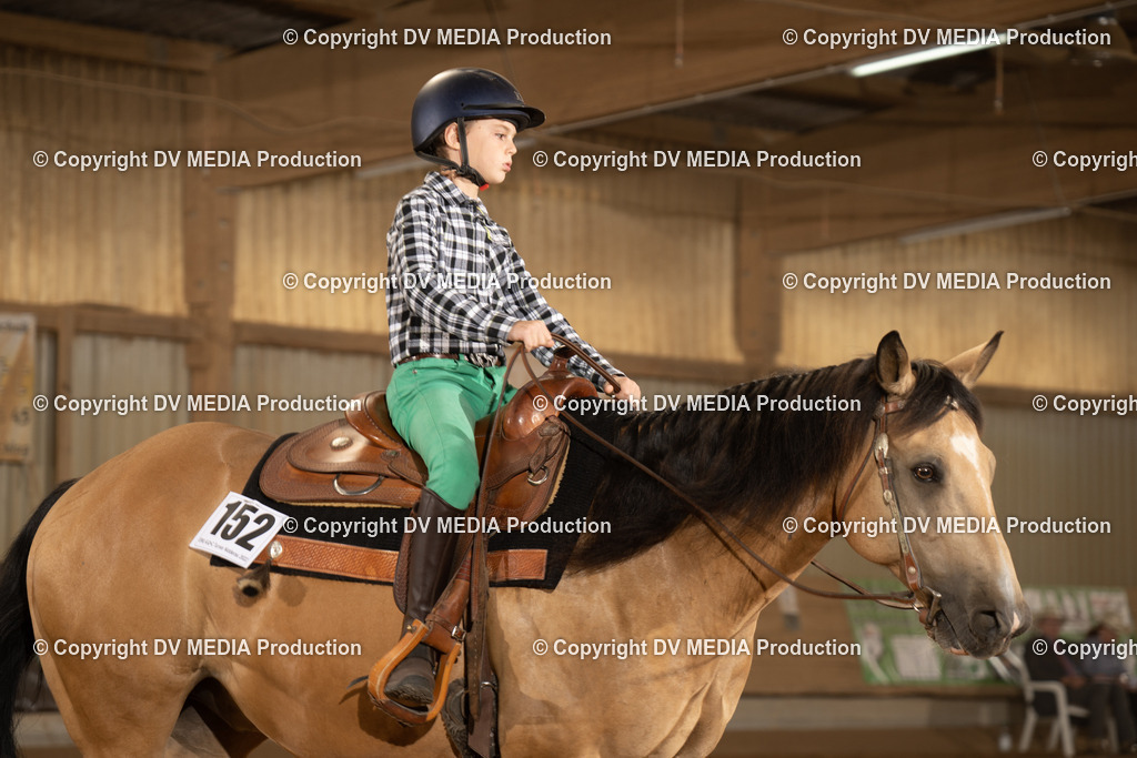 NID02865 | dv-media-shop - Realisiert mit Pictrs.com