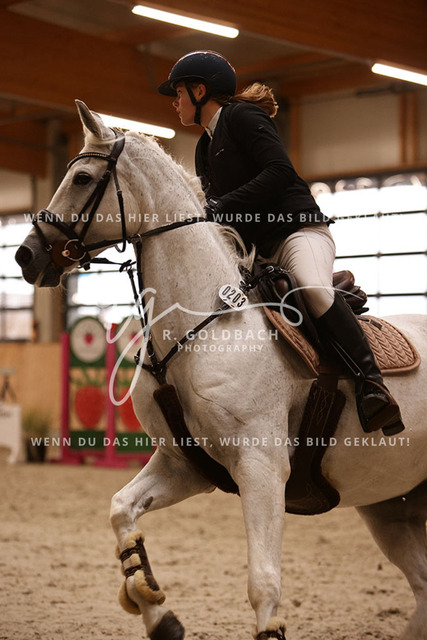 1J2A3847Luisa Teichmann_ Dara 29_ Kn203_ Hohen Wieschendorf_ Glantz | Foto- und Videografie für alles rund ums Pferd. Hochwertige Bilder und Videos vom Spring- und Dressurreiten, Voltigieren & mehr. Jetzt aktuelle Veranstaltungen und Preise im Shop ansehen. - Realisiert mit Pictrs.com