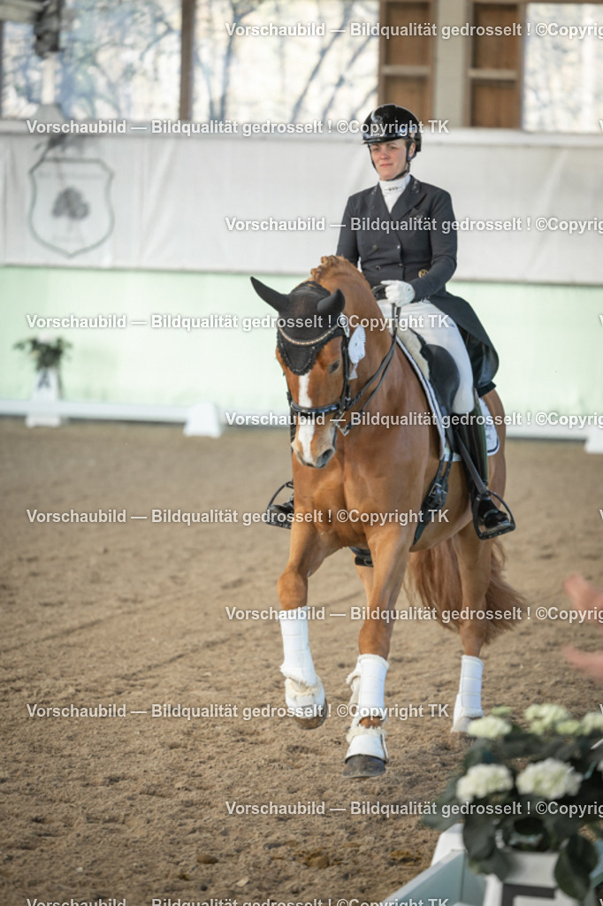 _D5A8164 | Emotionale Pferde- & People-Fotografie rund um Heidelberg, Leimen & Umgebung. Natürliche Fotos von Pferd, Mensch & Familie. Jetzt Termin sichern!