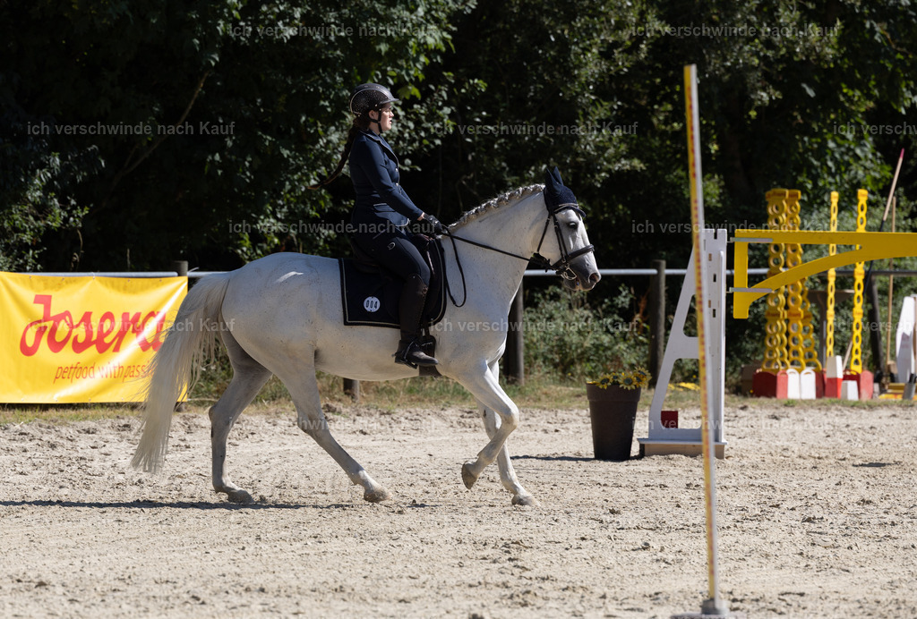 WA_Trail_4_KerstinBernhardt-5 | working equitationturnier fotograf videograf stoibphotography marixx film working equitation deutschland reitsport turnierfotografie eventfotografie equestrian events