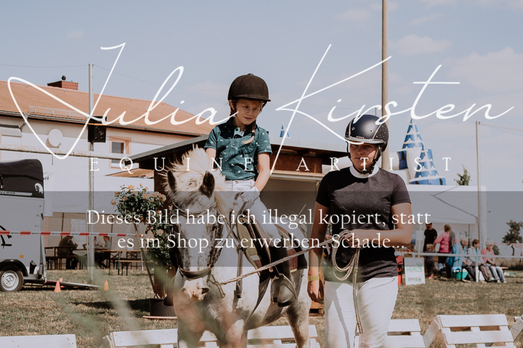 DSC_4533 | Pferde- und Turnierfotografie in Westsachsen. Pferdeportraits, Auftragszeichnungen und intuitive Kunst.