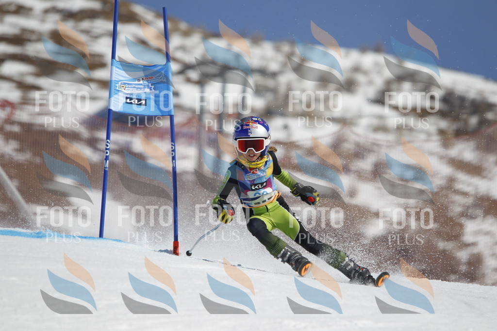 _U3G9664 | holidayphoto