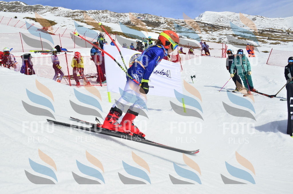 _ELE1977 | holidayphoto