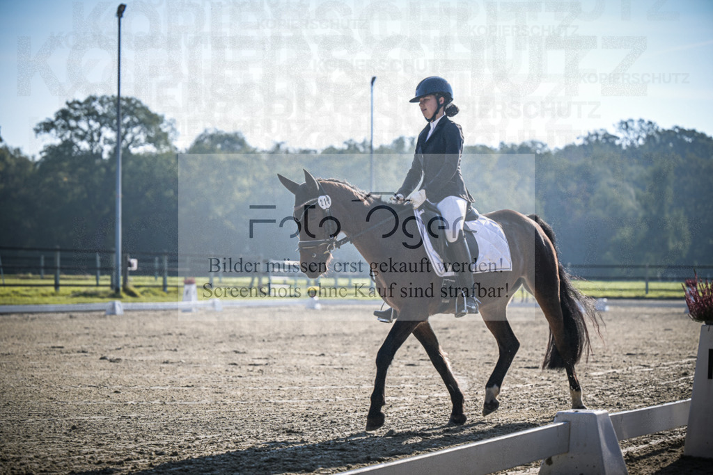 DOS_0623 | Entdecke hochwertige Reitturnierfotos von Foto Oger. Professionell, emotional und authentisch – jetzt Lieblingsmomente im Shop bestellen.Deutschlandweite Turnierfotografie. - Realisiert mit Pictrs.com