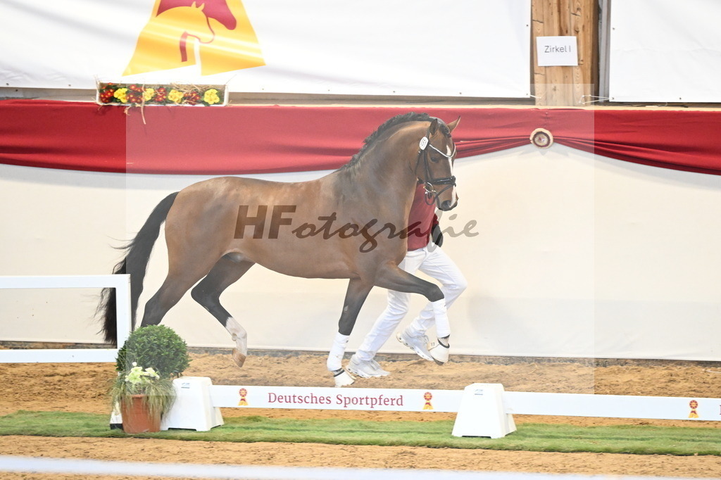 Kat.-Nr. 51 v. Fanegro_Gaab_3260504 | hf-fotografie - Realizzato con Pictrs.com