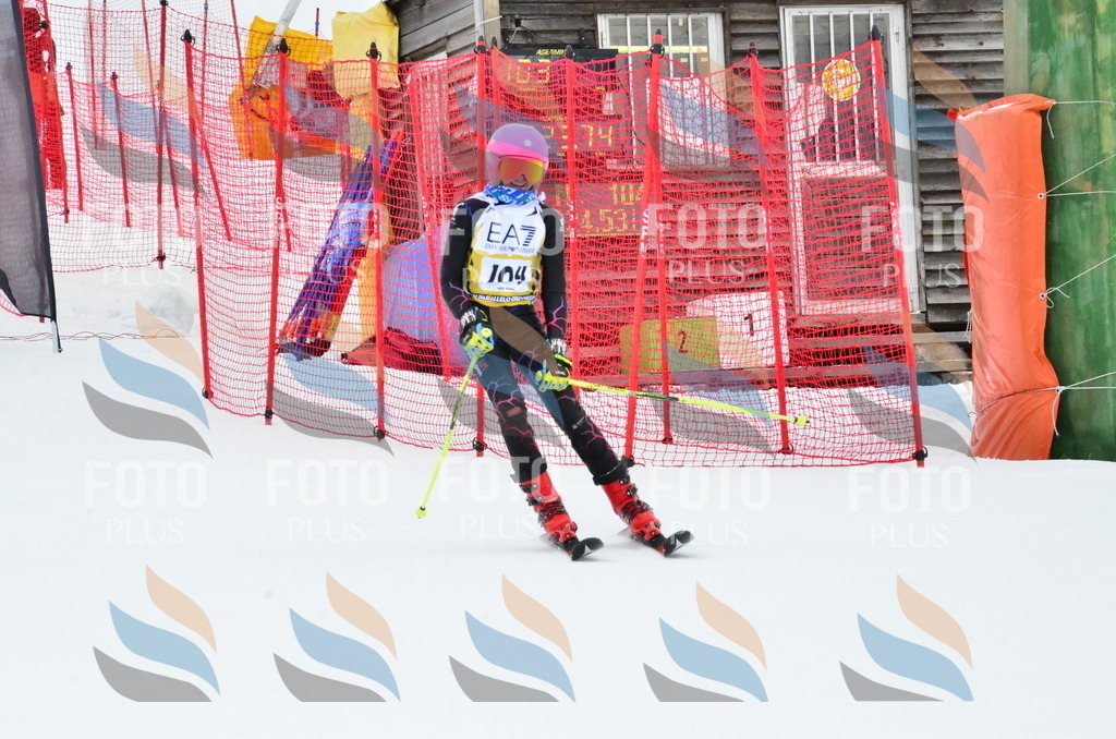 _ELE3553 | holidayphoto