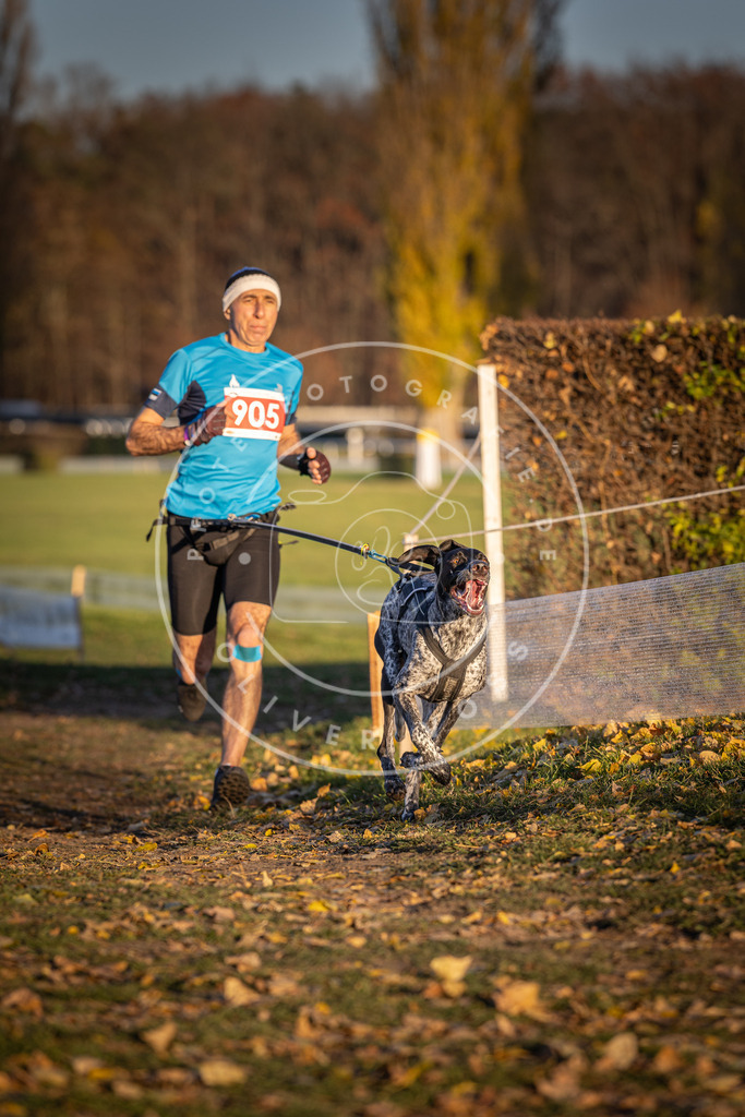 CaniXpix_DV3A4700 | Hundefotografie, Tierfotograf, Pfotenfotografie, Fotoshooting Hund, Hunde Portrait, Hundesport, Hundeportraits, Heideshooting, Hunde, Sportfotograf, Hundefotograf, Turnierhundsport, THS,  - Realisiert mit Pictrs.com