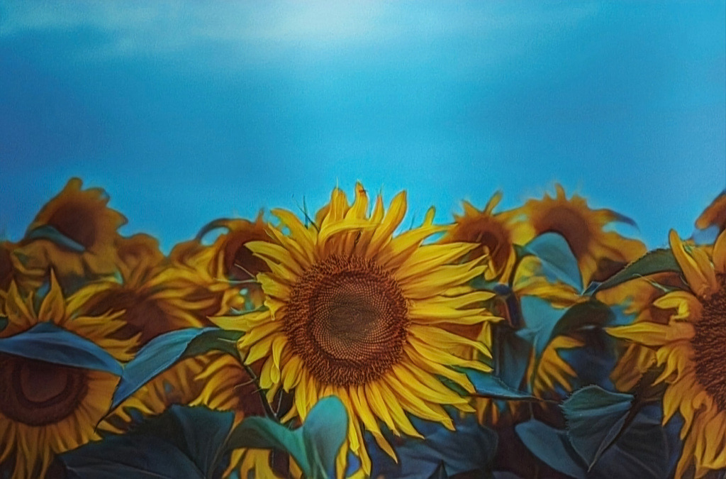 Sun | Kaufen sie online außergewöhnliche Fotografien auf Leinwand Acrylglas Fotoprint Aludibond von holgerweigeltfotografie - Realisiert mit Pictrs.com