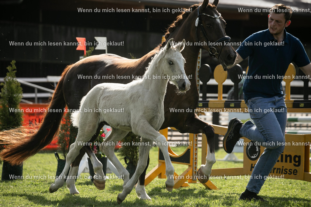 598A6894 | photographylinaismer - Realisiert mit Pictrs.com