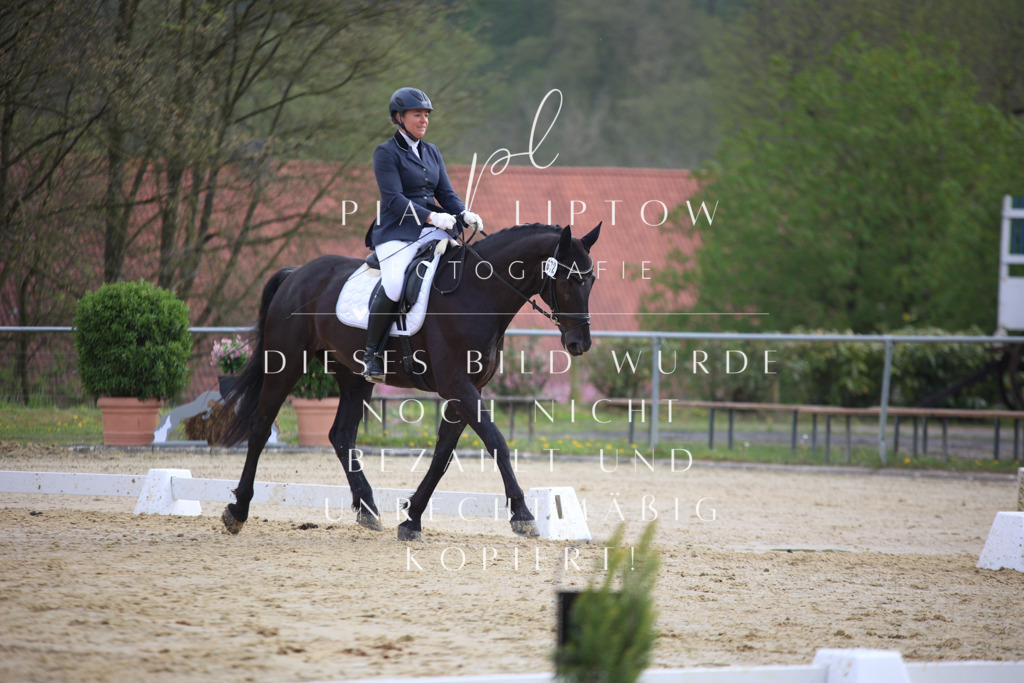 IMGT5726 | pl-fotografie