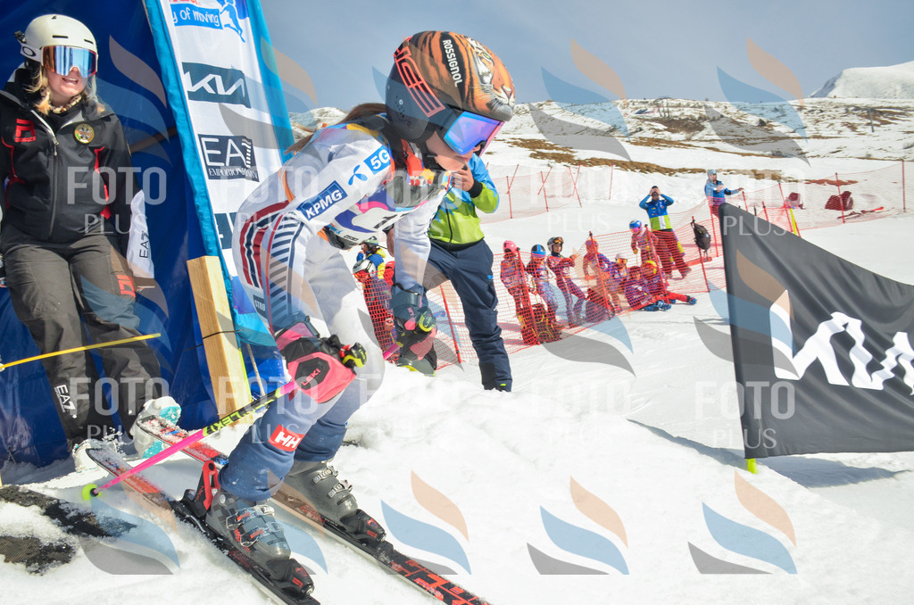 _ELE4678 | holidayphoto