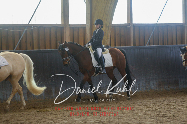IMG_1547 | Turniersportfotografie; Pferdefotografie; Dressurfotografie