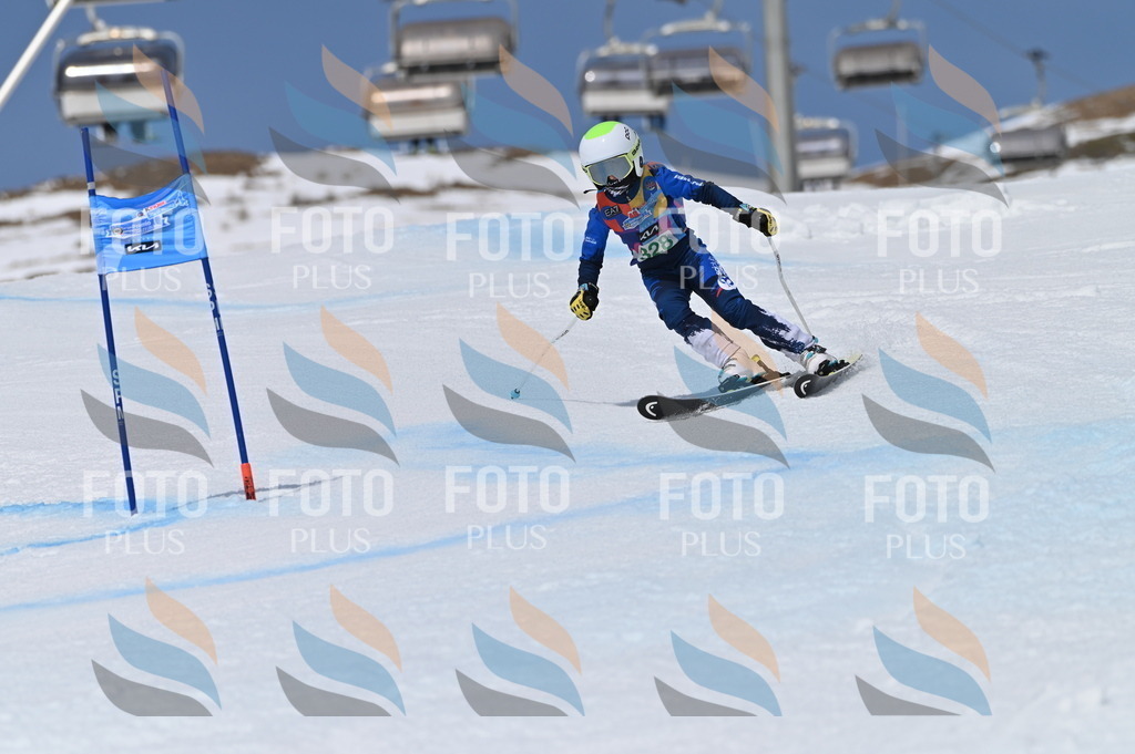 BGV_6497 | holidayphoto