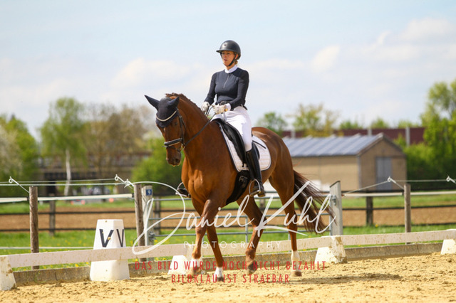 DKP43163 | Turniersportfotografie; Pferdefotografie; Dressurfotografie